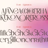 Qonoha A Simple Elegant Font