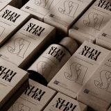 Robodo Serif Font Family a masterfully crafted collection that embodies sophistication and versatility