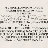 Robodo Serif Font Family a masterfully crafted collection that embodies sophistication and versatility