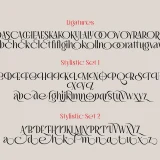 Rynola Serif Decorative Font, Crafted with precision and imbued