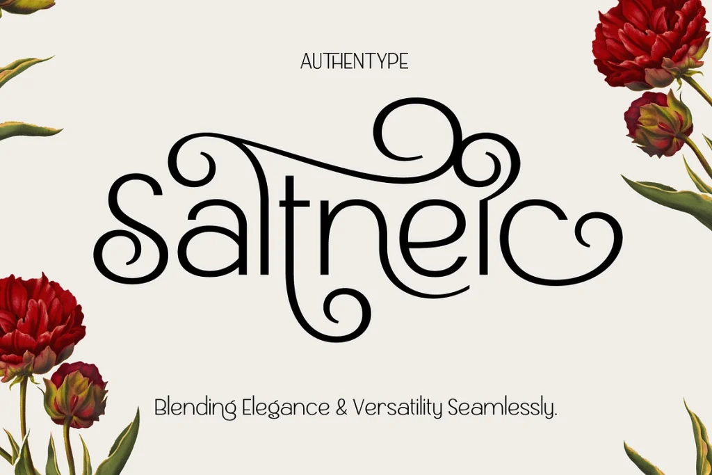 Saltneic – Modern Elegant Sans Serif Font