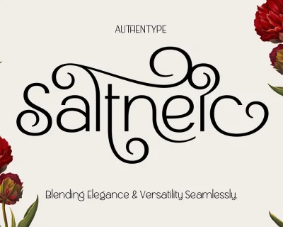 Saltneic – Modern Elegant Sans Serif Font