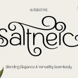 Saltneic is a modern elegant sans serif font that beautifully balances elegance and simplicity.