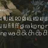 Saltneic is a modern elegant sans serif font that beautifully balances elegance and simplicity.