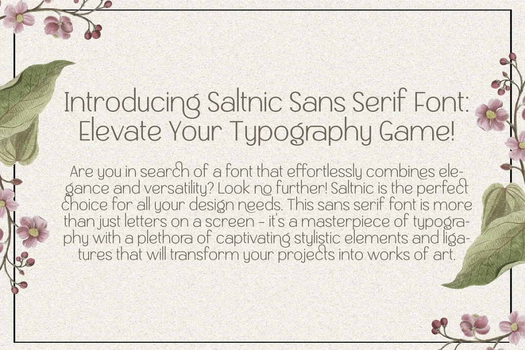 Saltneic – Modern Elegant Sans Serif Font