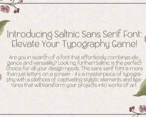 Saltneic – Modern Elegant Sans Serif Font