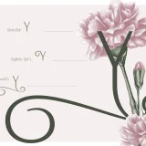 Saltneic is a modern elegant sans serif font that beautifully balances elegance and simplicity.