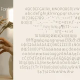 Saltneic is a modern elegant sans serif font that beautifully balances elegance and simplicity.