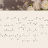 Saltneic is a modern elegant sans serif font that beautifully balances elegance and simplicity.