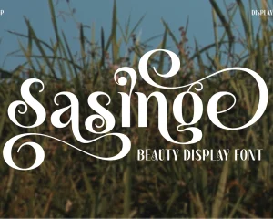 Sasinge Beauty Display Font