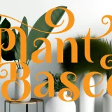 Sasinge Beauty Display Font, a captivating display font that embodies elegance and sophistication