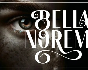 Sasinge Beauty Display Font