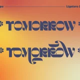 Sonbey is a bold and experimental retro typeface