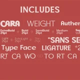 Soncara – Futuristic Soft Serif Font