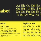 THANKS LAB is a premium futuristic soft font