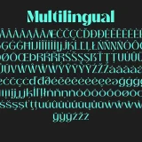 THANKS LAB is a premium futuristic soft font