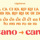 Seafora – Bold Cute Modern Display