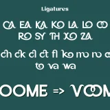 Voome is a bold rounded display font that blends visual strength with a touch of warmth and personality. Designed with the philosophy that typography should convey emotion as well as aesthetics, Voome stands out as bold, expressive, and friendly in every curve.
