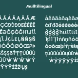 Voome is a bold rounded display font that blends visual strength with a touch of warmth and personality. Designed with the philosophy that typography should convey emotion as well as aesthetics, Voome stands out as bold, expressive, and friendly in every curve.