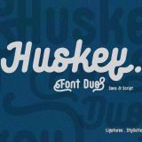 A modern dual-style type system designed for expressive branding and professional logo font duo applications.