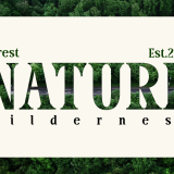 Blate - Bold Vintage Display Serif with Elegant Ligatures