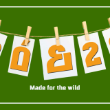 Maximum Visual Impact for Bold Logo Designs