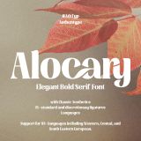 Alocary - Modern Bold Serif Logo Typeface