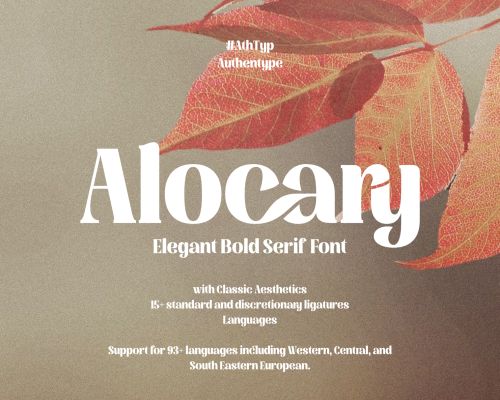 Alocary – Modern Bold Serif Logo Typeface