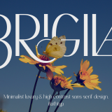 Brigila A High Contrast Serif
