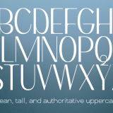 Brigila A High Contrast Serif